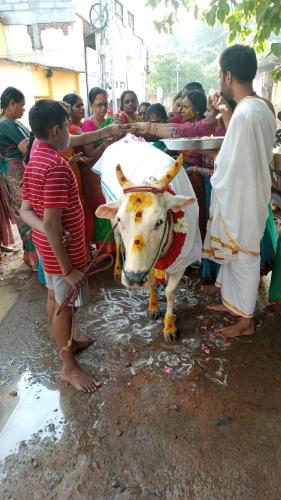 Ayyappan-Padi-Pooja-Photos (7)