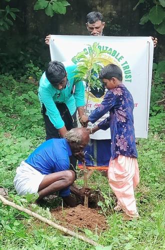 Tree Planting (1)