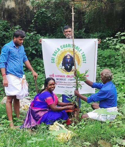 Tree Planting (3)