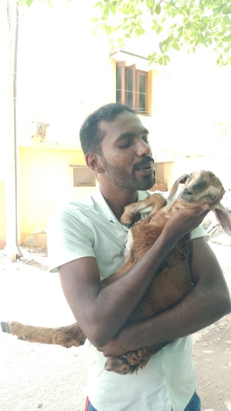Love-for-Voiceless-13