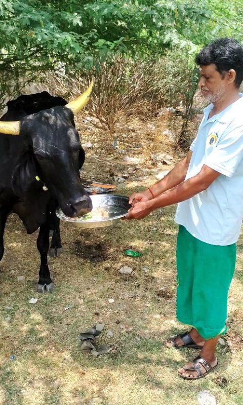 Love-for-Voiceless-2