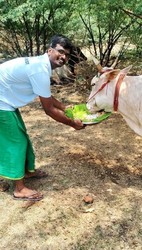 Love for the Voiceless