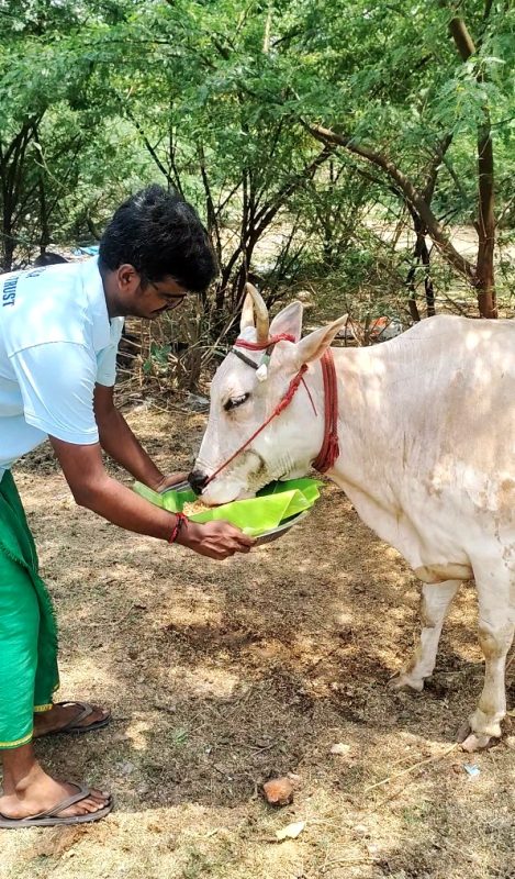 Love-for-Voiceless-5